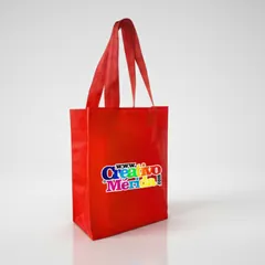 Vista previa de Bolso Cambrela Promocional 25x30x9cm Personalizado 2